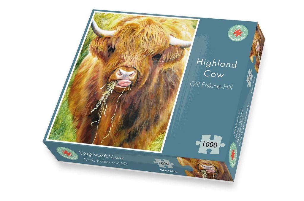 Highland Cow